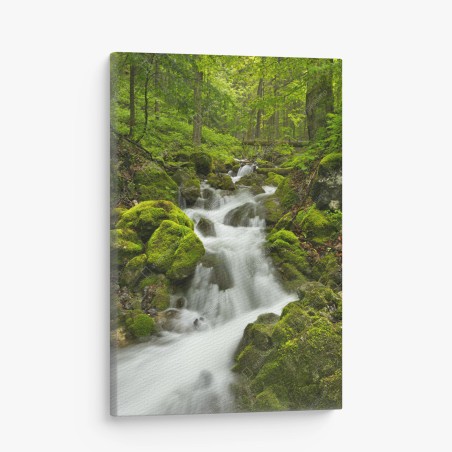 Leinwandbild moosiger wasserfall – Pixers®