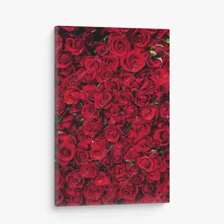 Leinwandbild dichte wand aus roten rosen – Pixers®