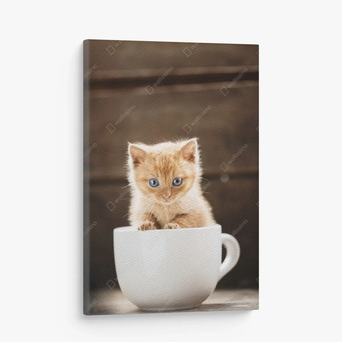 Leinwandbild rötliches kätzchen in einer teetasse – Pixers®