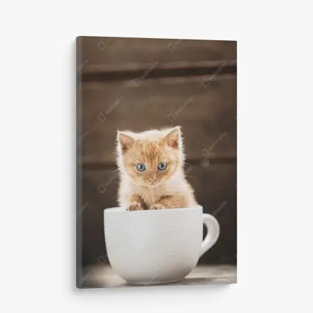 Leinwandbild rötliches kätzchen in einer teetasse – Pixers®