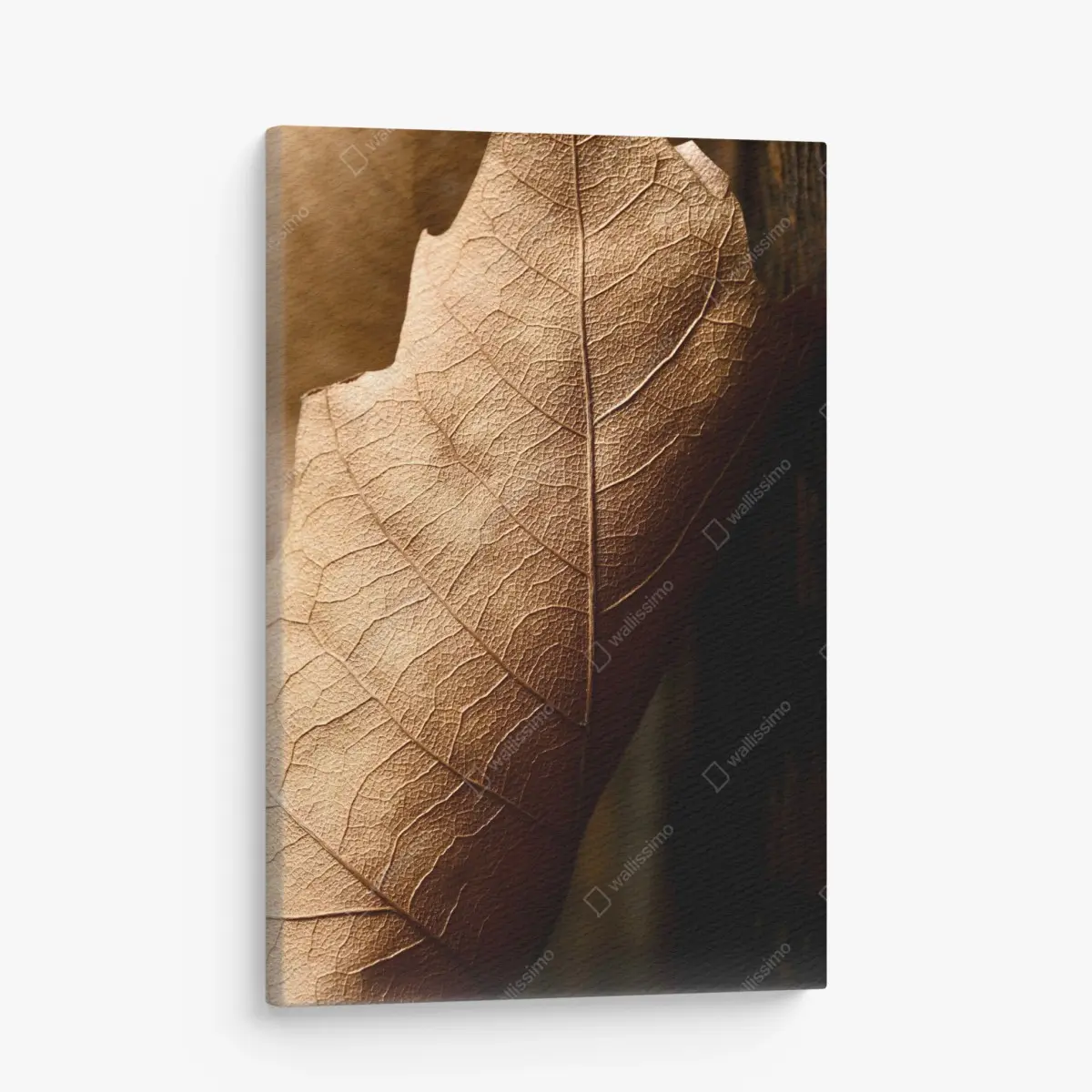 Leinwandbild strukturiertes trockenes blatt nahaufnahme – Pixers®