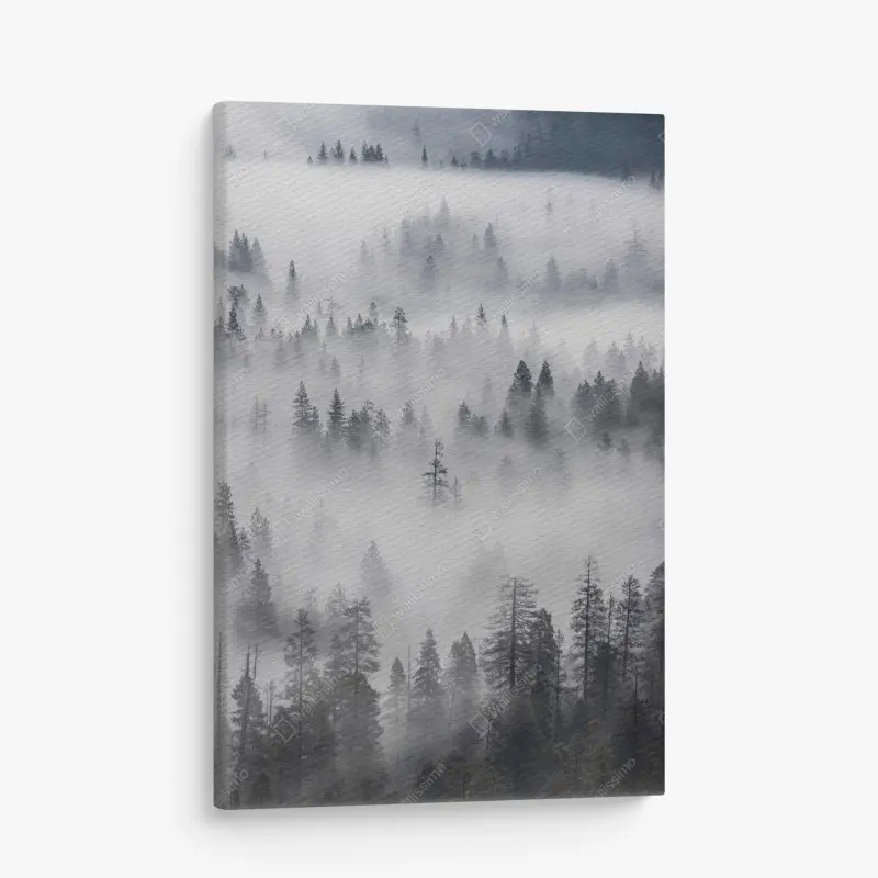 Leinwandbild nebeliger kiefernwald