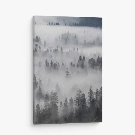 Leinwandbild nebeliger kiefernwald – Pixers®
