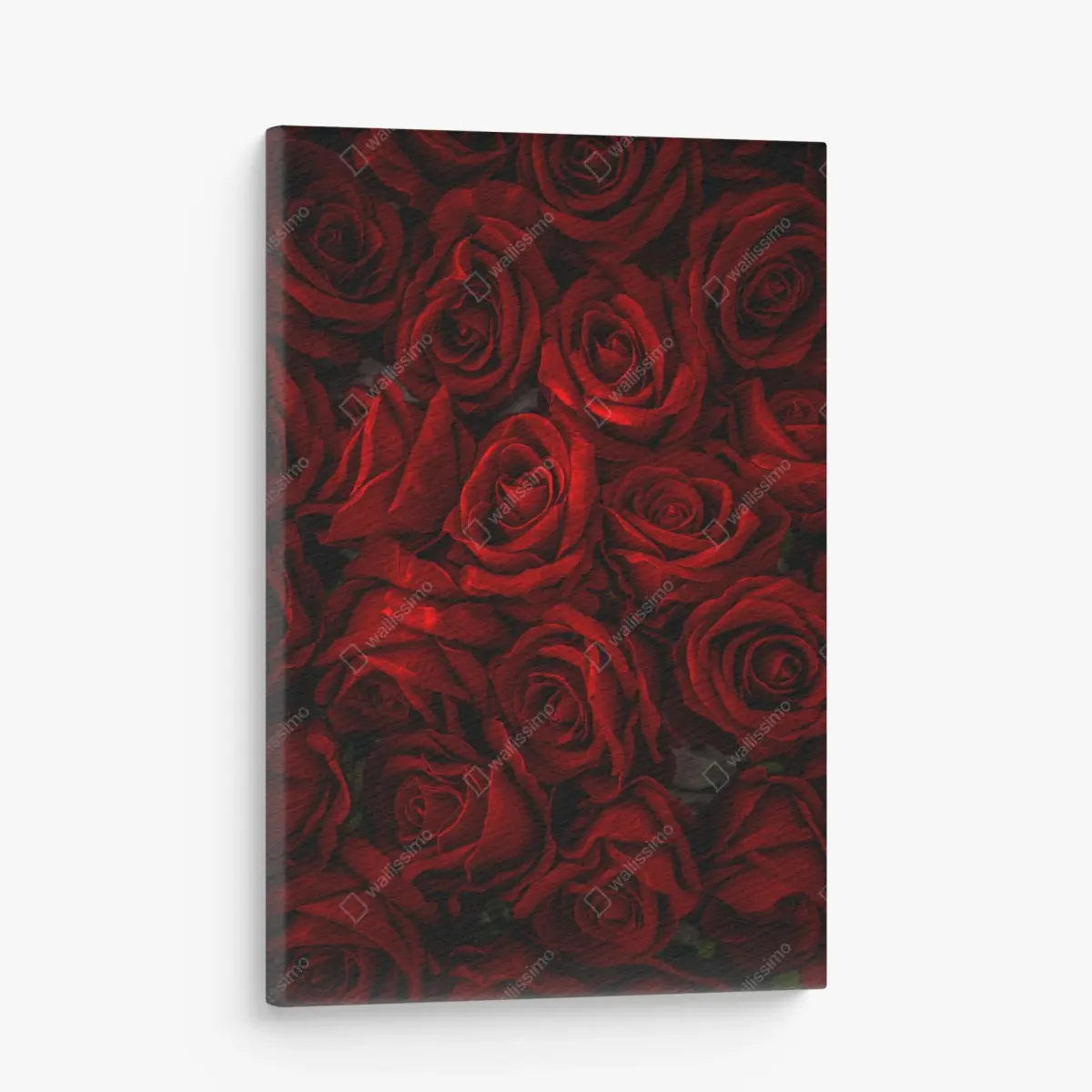 Leinwandbild intensive rote rosen nahaufnahme – Pixers®