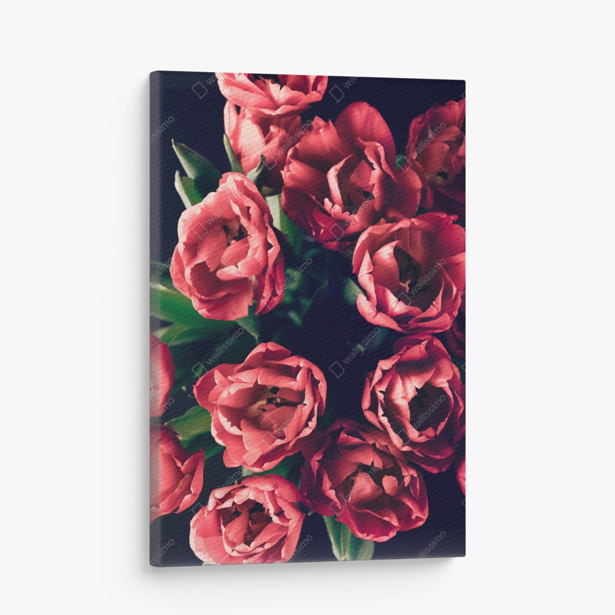 Leinwandbild stimmungsvolles rosa tulpenbukett – Pixers®
