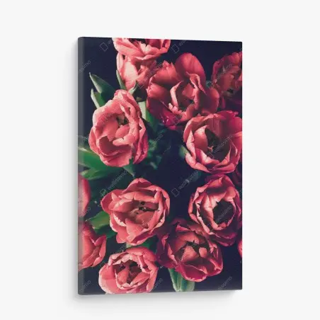 Leinwandbild stimmungsvolles rosa tulpenbukett – Pixers®