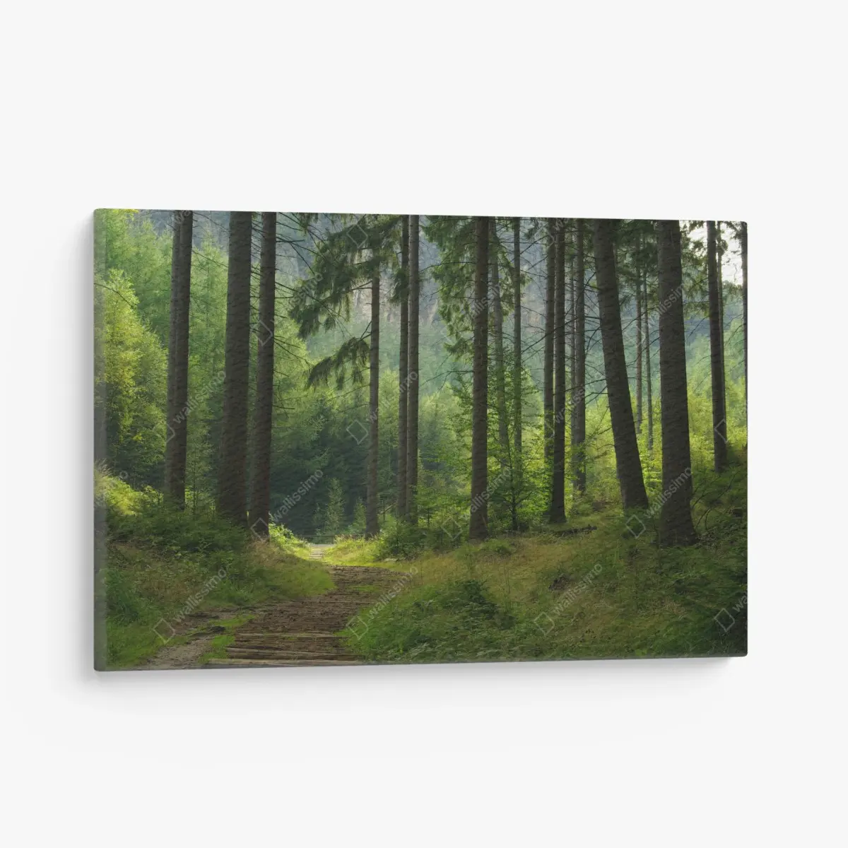 Leinwandbild ruhiger waldpfad – Pixers®