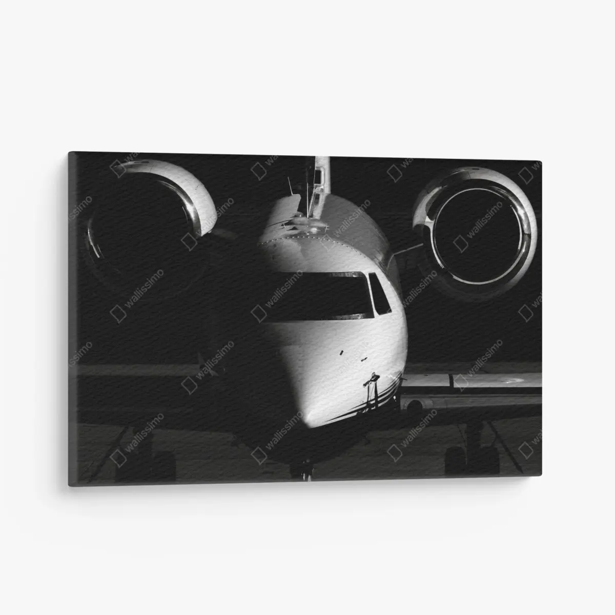 Leinwandbild monochrome frontalansicht eines privatjets – Pixers®
