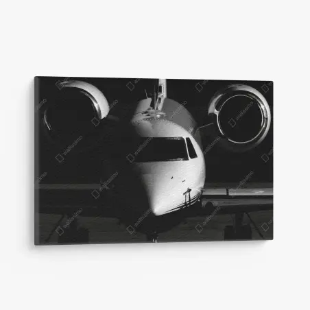 Leinwandbild monochrome frontalansicht eines privatjets – Pixers®