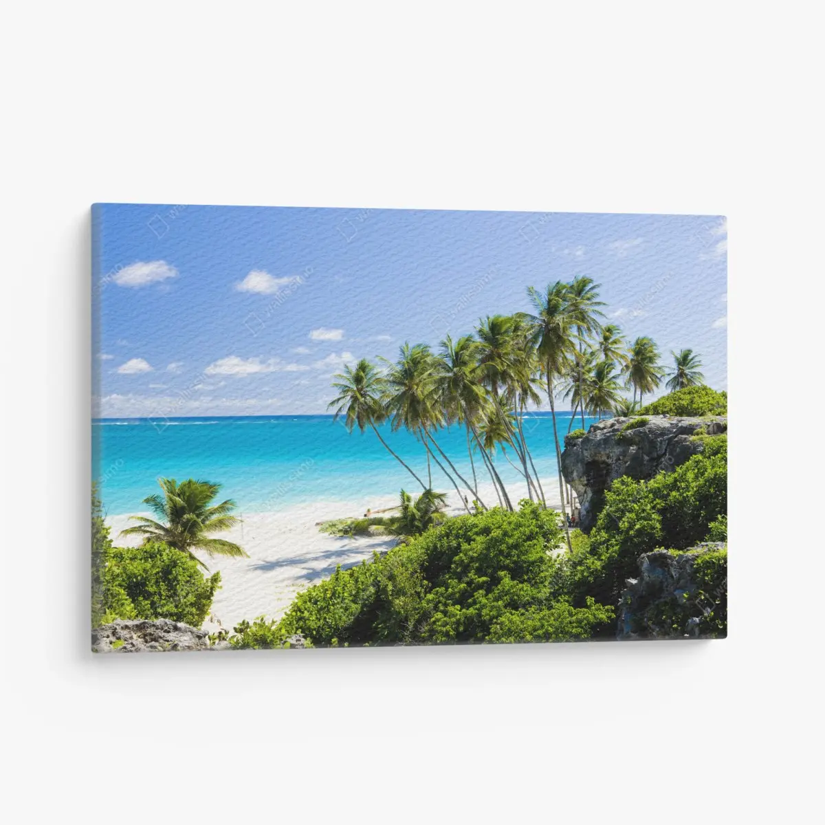 Leinwandbild Bottom Bay palmenstrand, Barbados – Pixers®