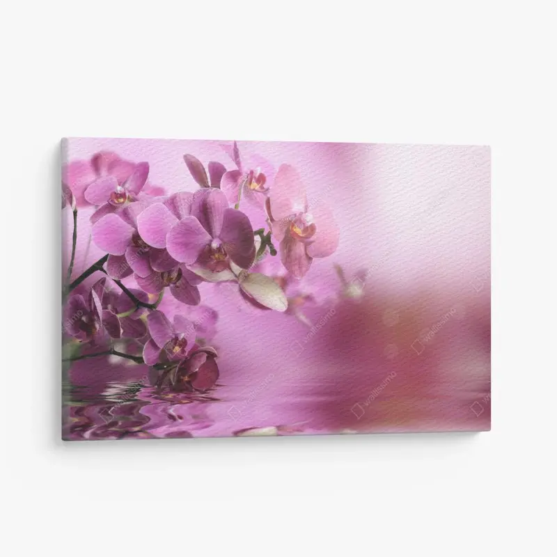 Leinwandbild rosa orchideen spiegelung