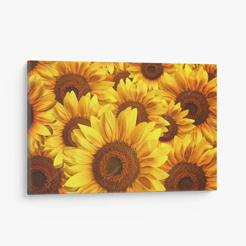 Leinwandbild goldene sonnenblumen