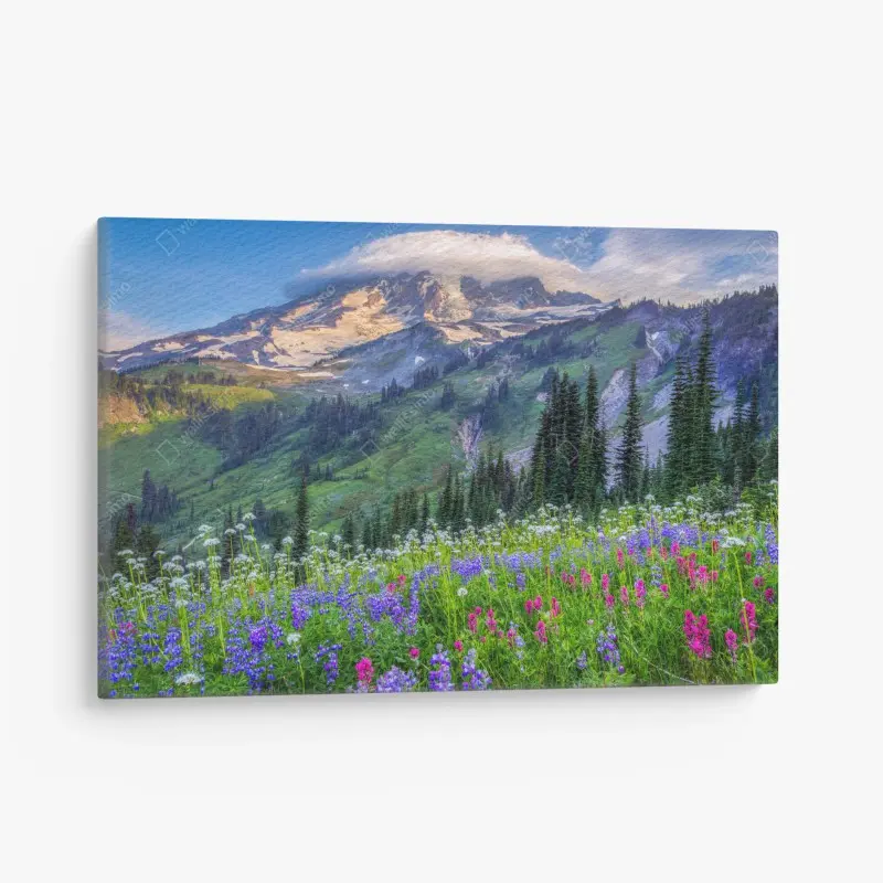 Leinwandbild alpine blumenwiese vor schneebedeckten bergen