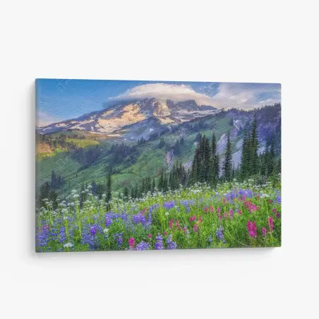Leinwandbild alpine blumenwiese vor schneebedeckten bergen – Pixers®