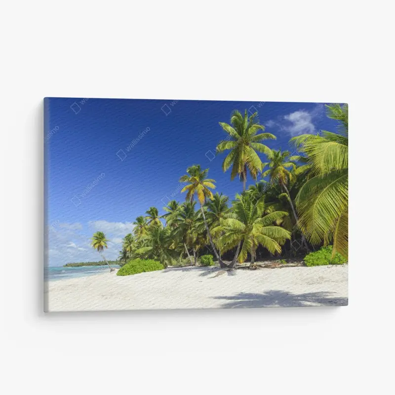 Leinwandbild ruhiger tropischer strand in Punta Cana