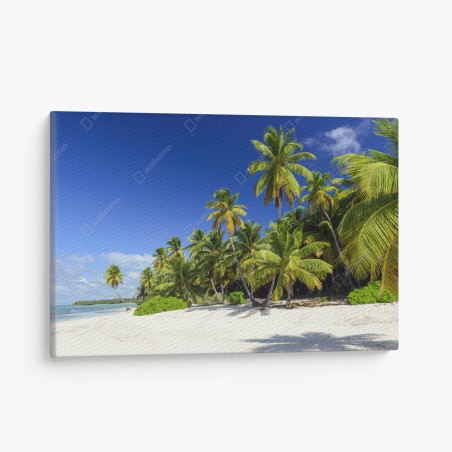 Leinwandbild ruhiger tropischer strand in Punta Cana – Pixers®