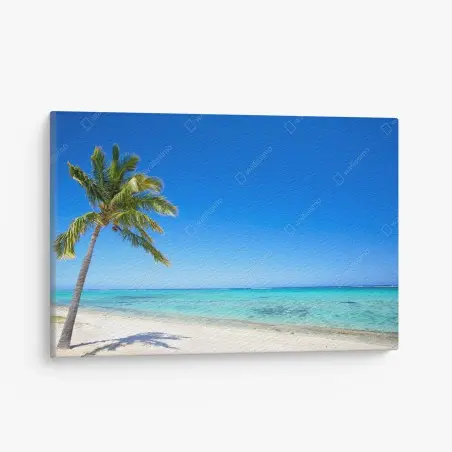 Leinwandbild tropischer traumstrand mit palme – Pixers®