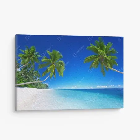 Leinwandbild tropischer strand mit palmen – Pixers®