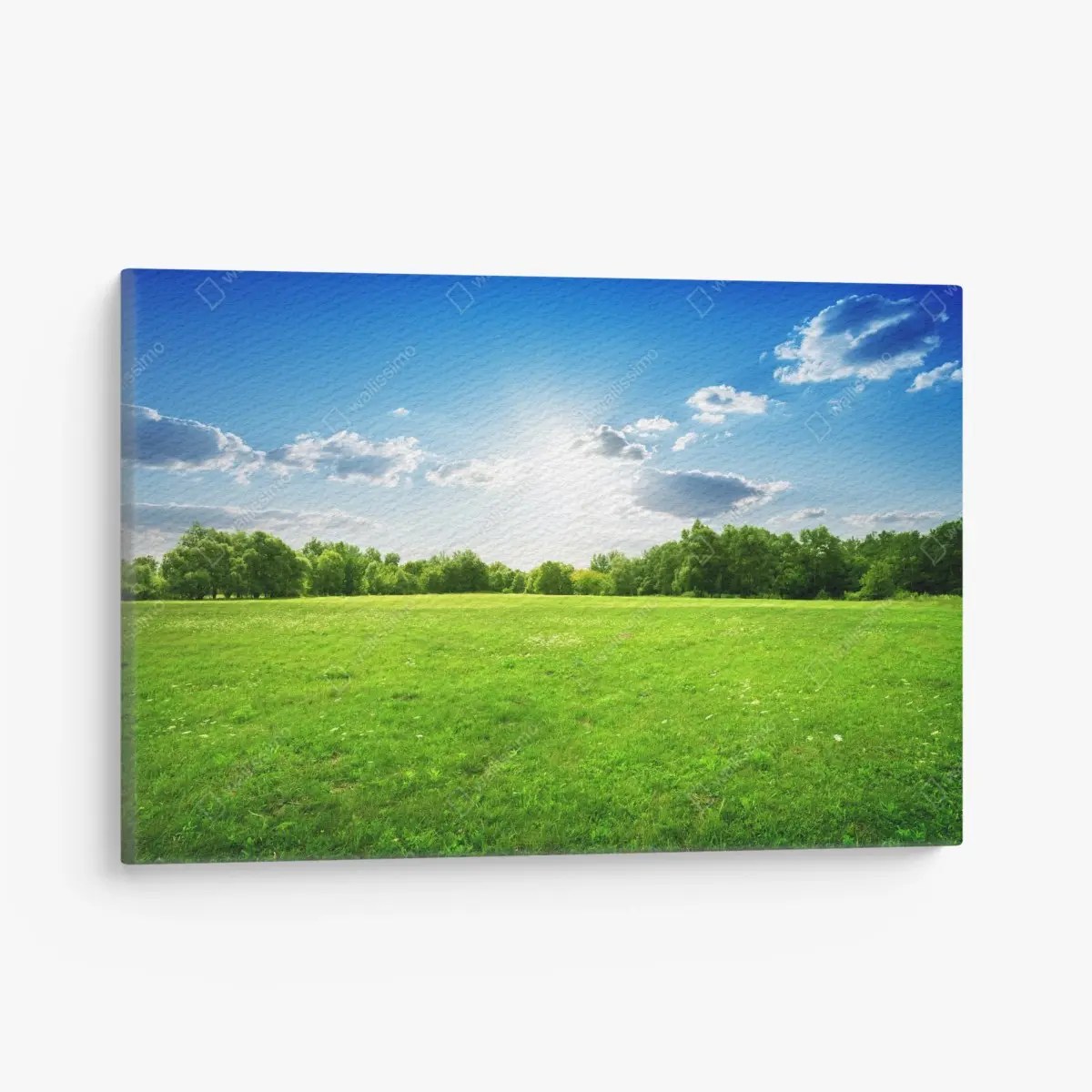 Leinwandbild sonnige grüne wiese – Pixers®