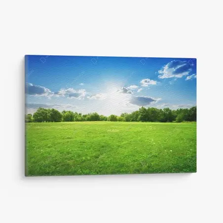Leinwandbild sonnige grüne wiese – Pixers®