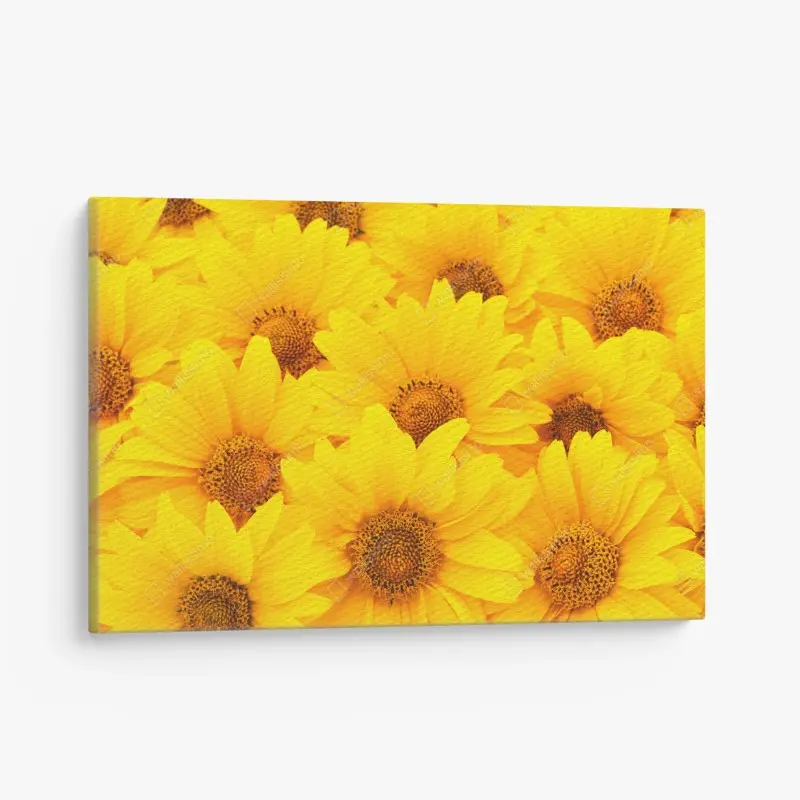 Leinwandbild leuchtende gelbe sonnenblumen in nahaufnahme