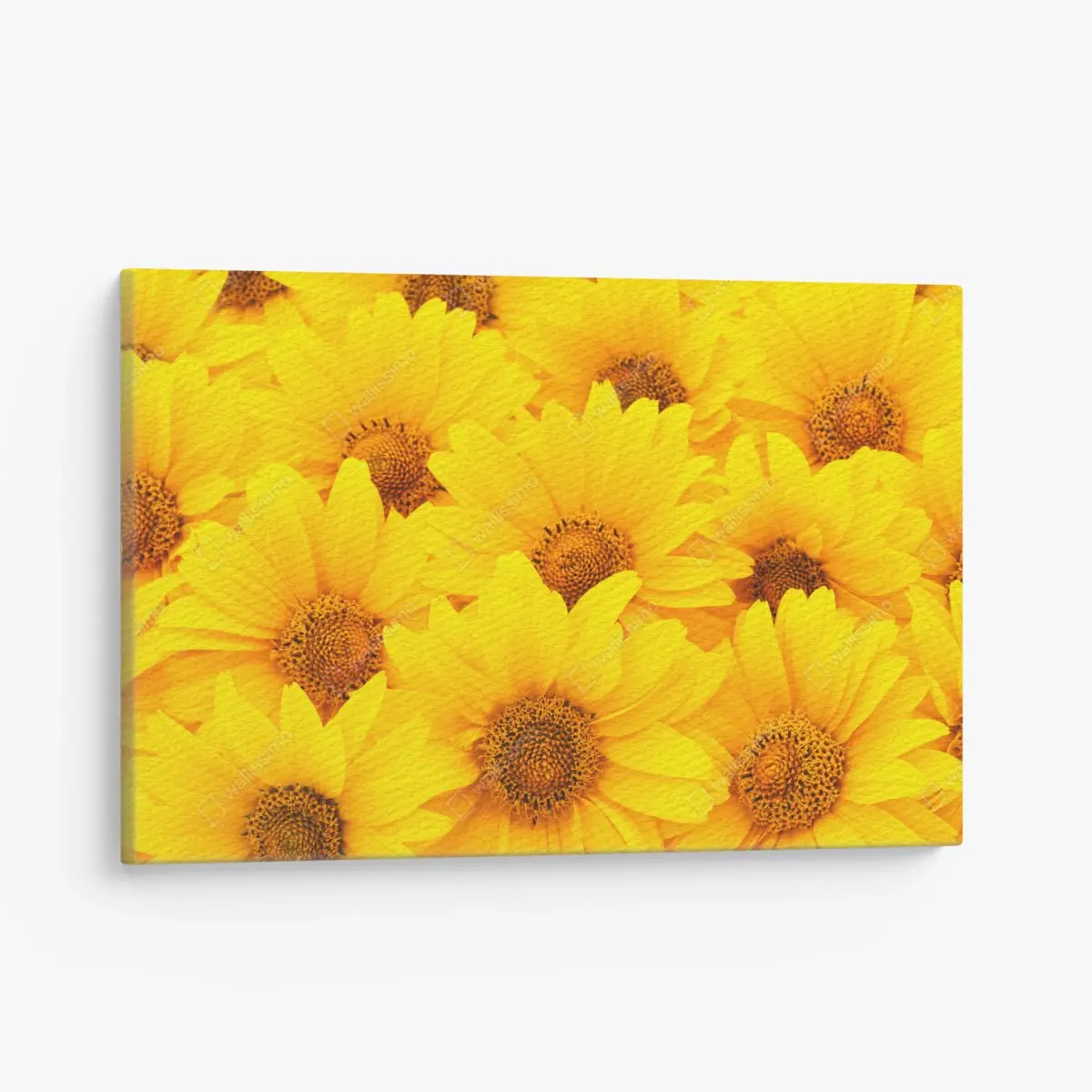 Leinwandbild leuchtende gelbe sonnenblumen in nahaufnahme – Pixers®