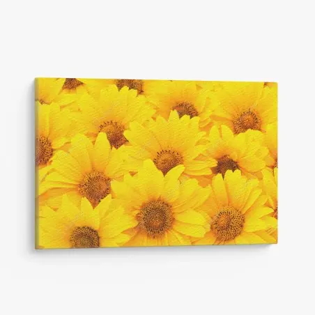 Leinwandbild leuchtende gelbe sonnenblumen in nahaufnahme – Pixers®