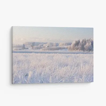 Leinwandbild wiese mit reif im morgenlicht – Pixers®
