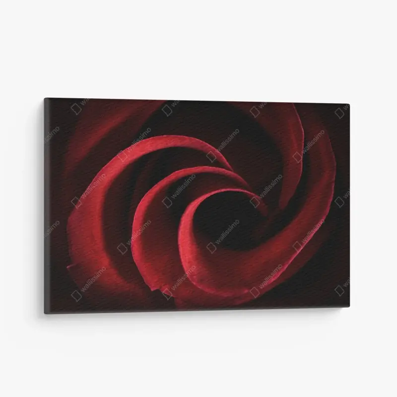 Leinwandbild spirale aus tiefroten rosenblättern