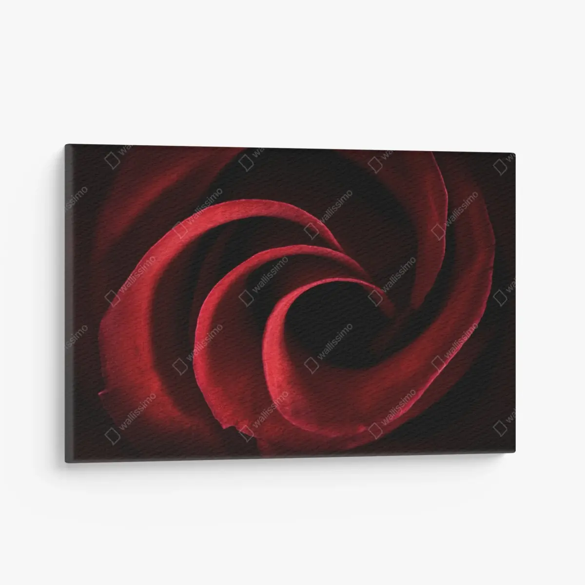 Leinwandbild spirale aus tiefroten rosenblättern – Pixers®