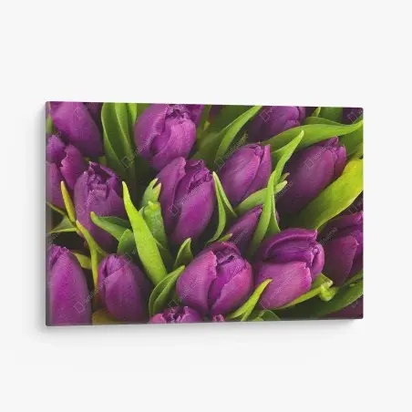 Leinwandbild lila tulpen im bukett – Pixers®