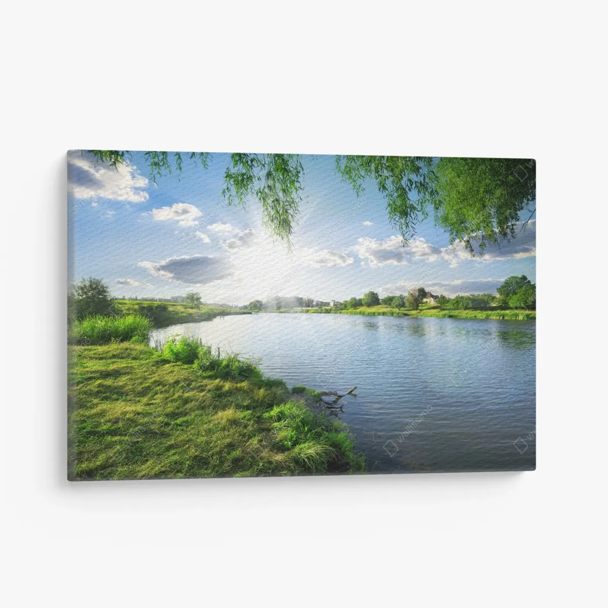 Leinwandbild sonnenbeschienenes flussufer mit üppigem grün – Pixers®