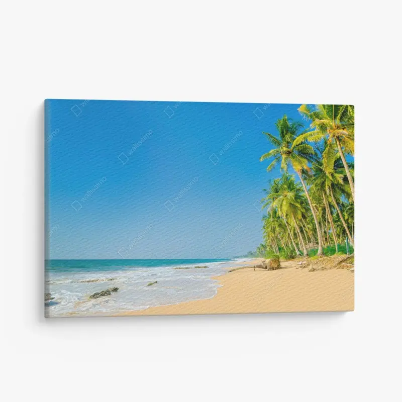 Leinwandbild tropischer palmenstrand