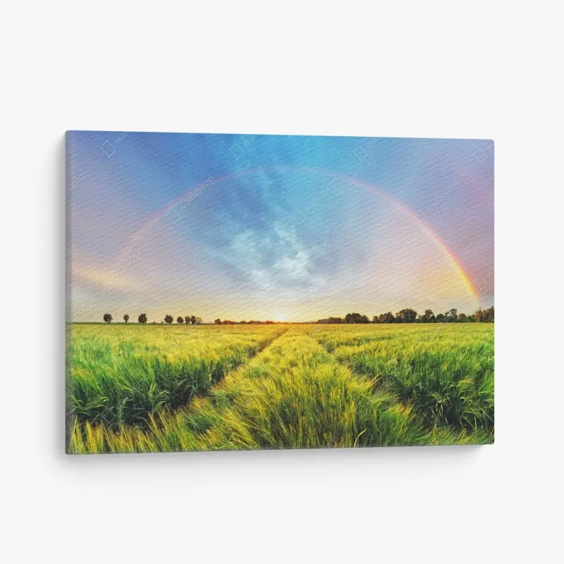 Leinwandbild regenbogen über goldenem weizenfeld bei sonnenuntergang