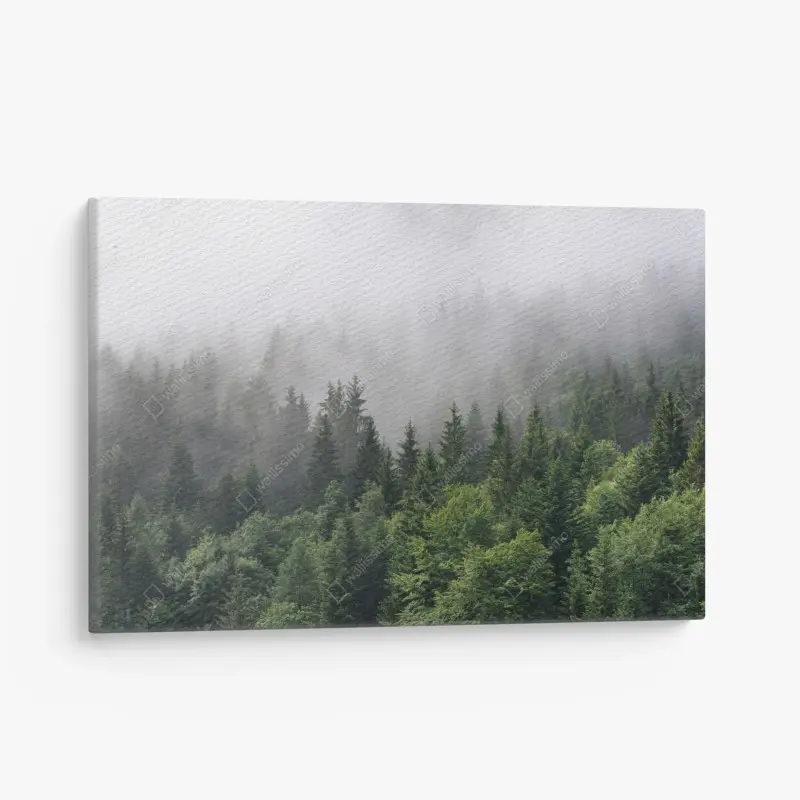 Leinwandbild nebliger immergrüner wald panorama
