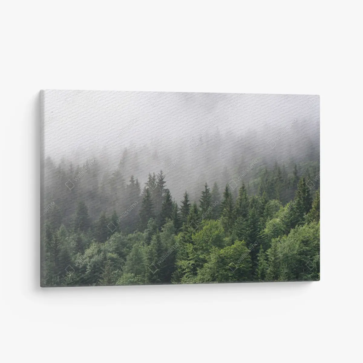 Leinwandbild nebliger immergrüner wald panorama – Pixers®