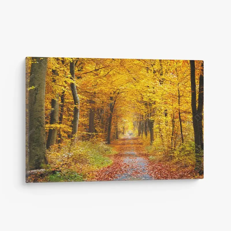 Leinwandbild goldener herbstwald pfad
