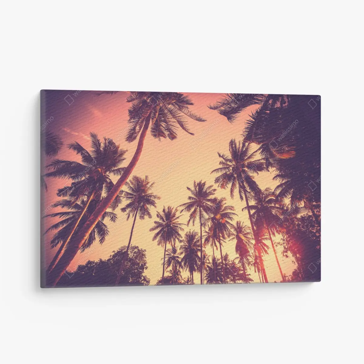 Leinwandbild vintage tropischer sonnenuntergang mit palmen – Pixers®