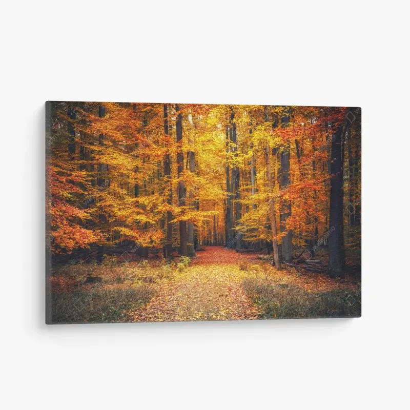 Leinwandbild herbstlicher waldpfad mit goldenen blättern