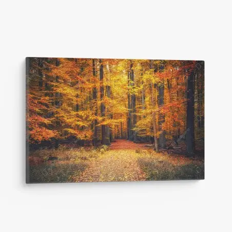 Leinwandbild herbstlicher waldpfad mit goldenen blättern – Pixers®