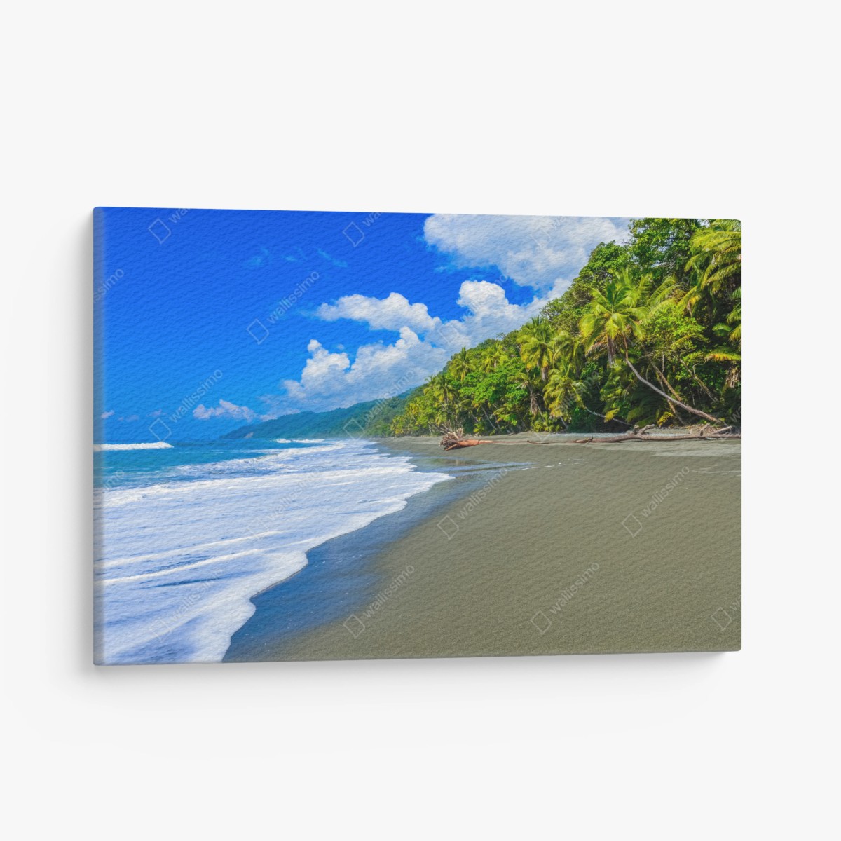 Leinwandbild wilder strand bei Corcovado, Costa Rica – Pixers®