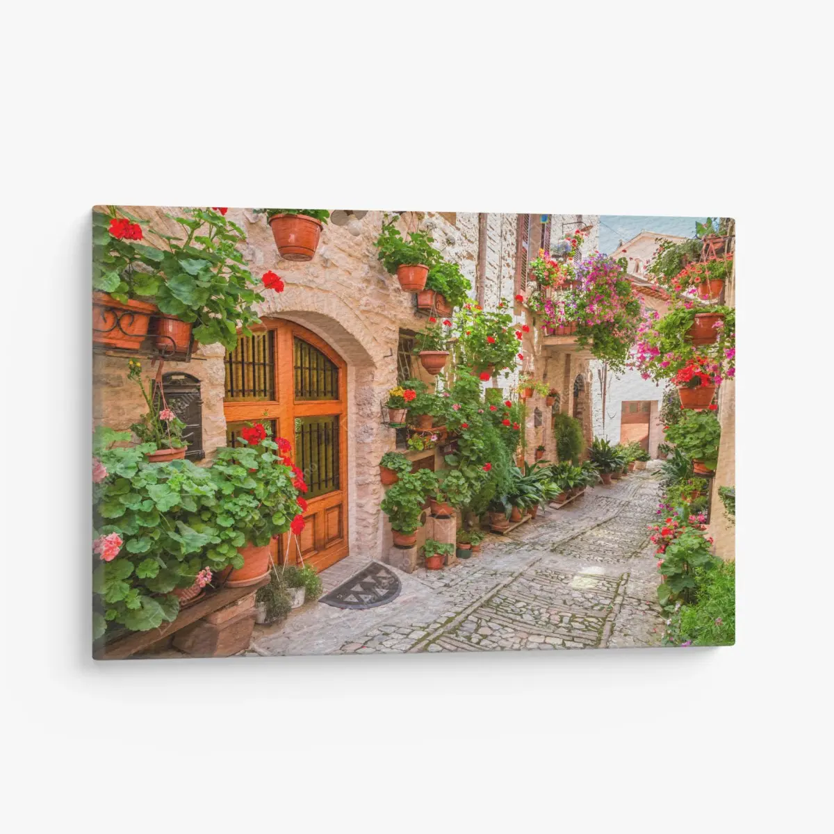 Leinwandbild sonnige gasse in Italien mit blühenden töpfen – Pixers®