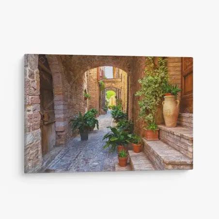 Leinwandbild sonnige gasse mit blumentöpfen in Spello – Pixers®
