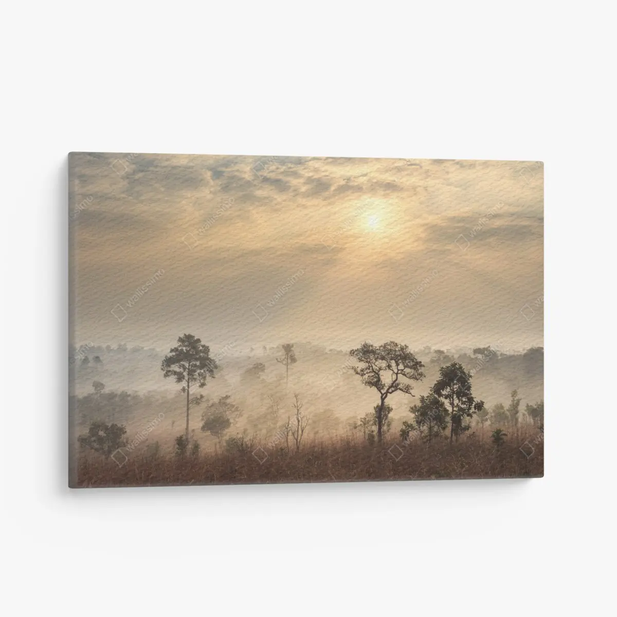 Leinwandbild Thailand sawanne bei sonnenaufgang – Pixers®
