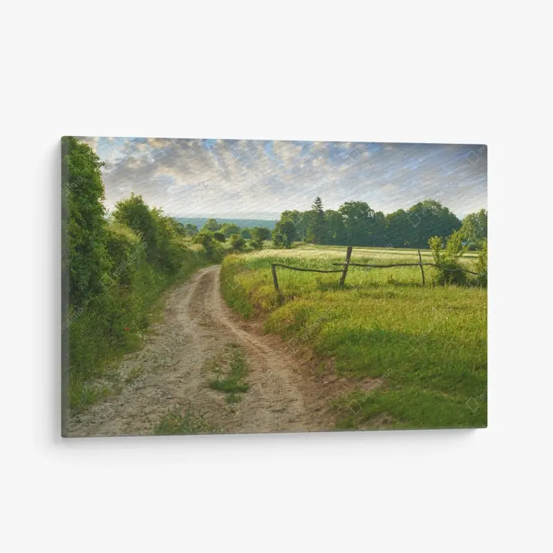 Leinwandbild sonniger landweg durch grüne wiesen