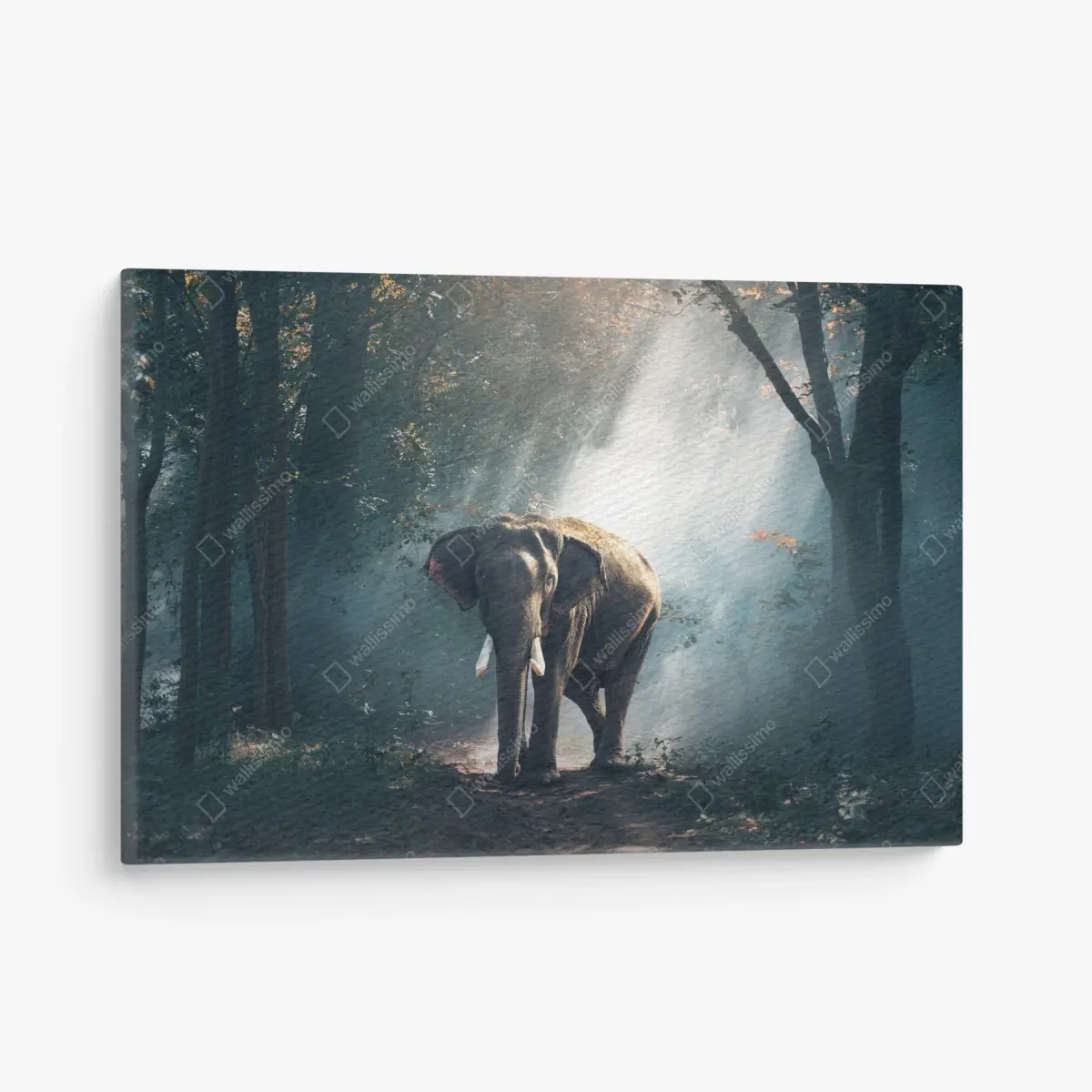 Leinwandbild majestätischer elefant im sonnenlichtdurchfluteten wald – Pixers®
