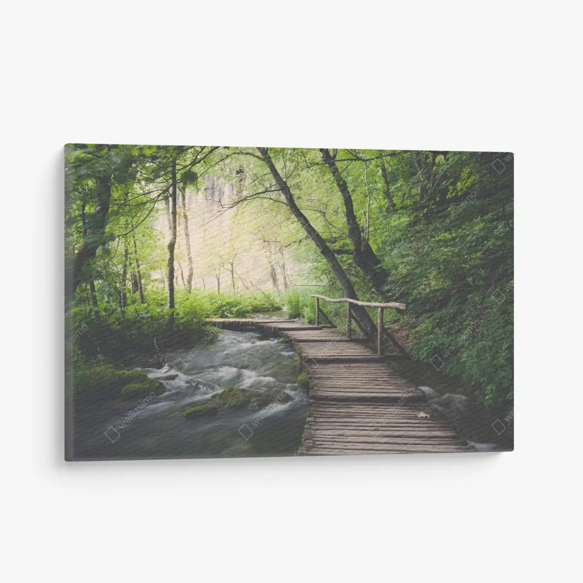 Leinwandbild ruhiger hölzerner steg durch grünen wald – Pixers®