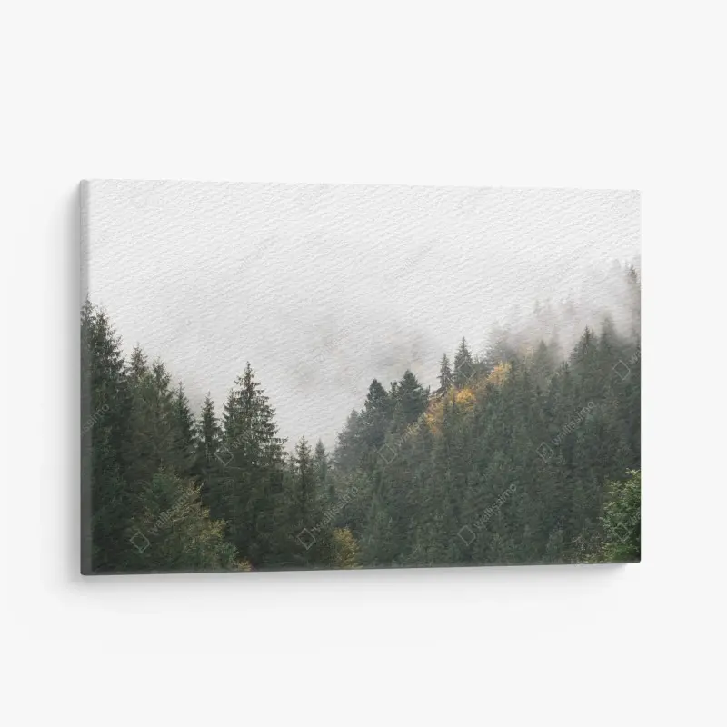Leinwandbild nebliger bergwald im dunst