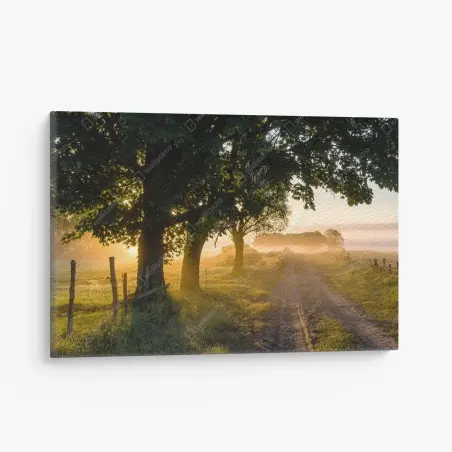 Leinwandbild sonnenbeschienener landweg im morgendunst – Pixers®