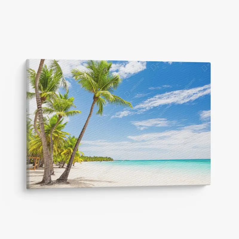 Leinwandbild palmenstrand in Punta Cana